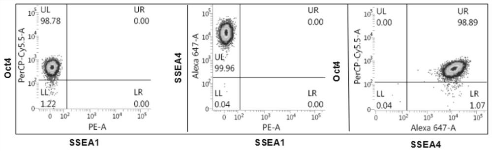 Method for culturing pluripotent stem cells