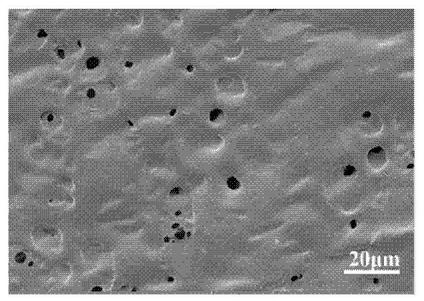 Wound adhesion hydrogel material as well as preparation method and application thereof