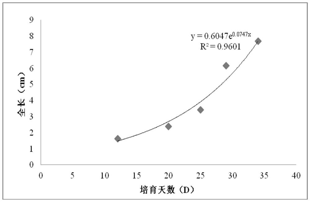 Microcapsule initial feed for paddlefish larvae and preparation method of microcapsule initial feed