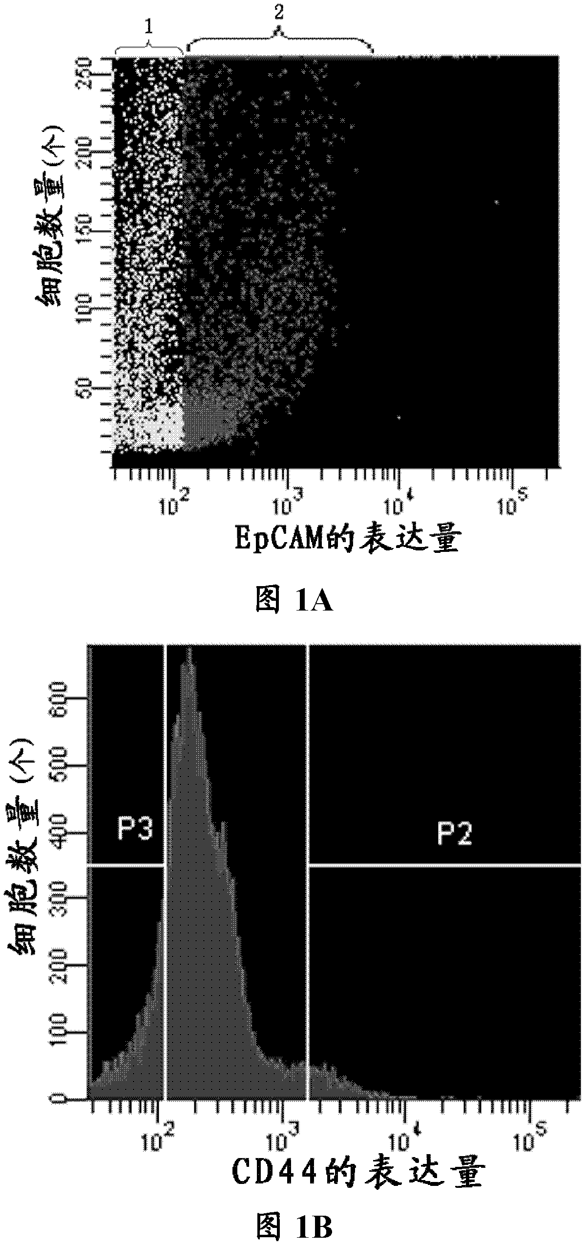 A kind of human colorectal cancer tumor cell line and its preparation method and application