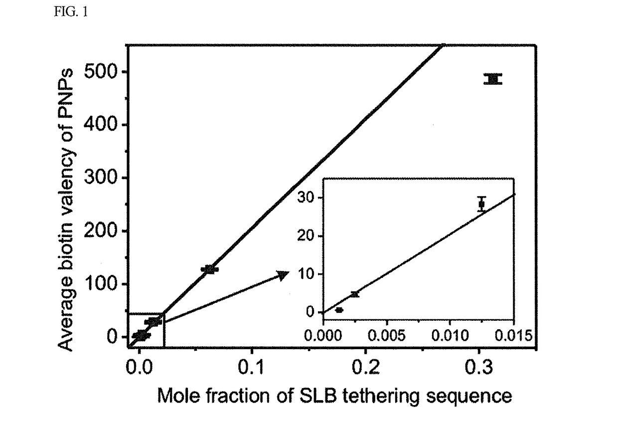 Artificial cell membrane comprising supported lipid bilayer connected with probes having controllable mobility and method for analyzing interaction between molecules using the same