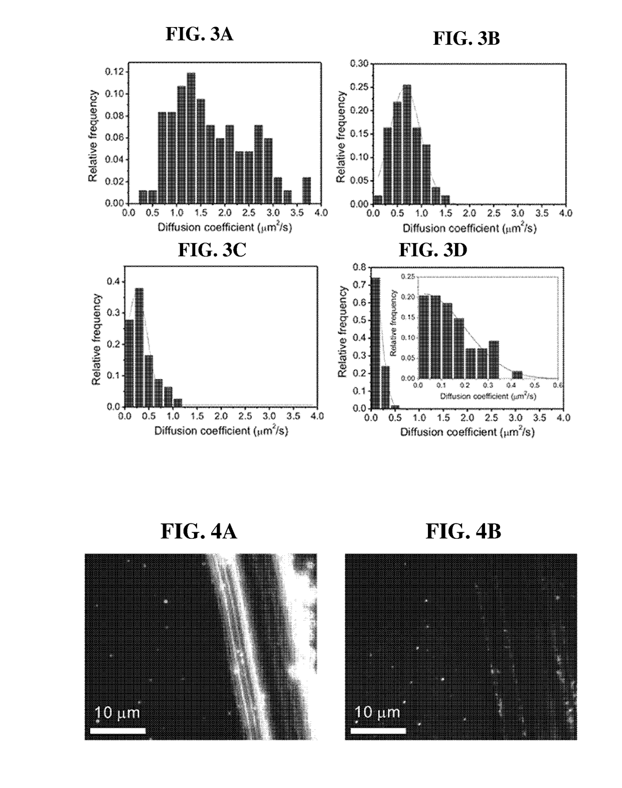 Artificial cell membrane comprising supported lipid bilayer connected with probes having controllable mobility and method for analyzing interaction between molecules using the same