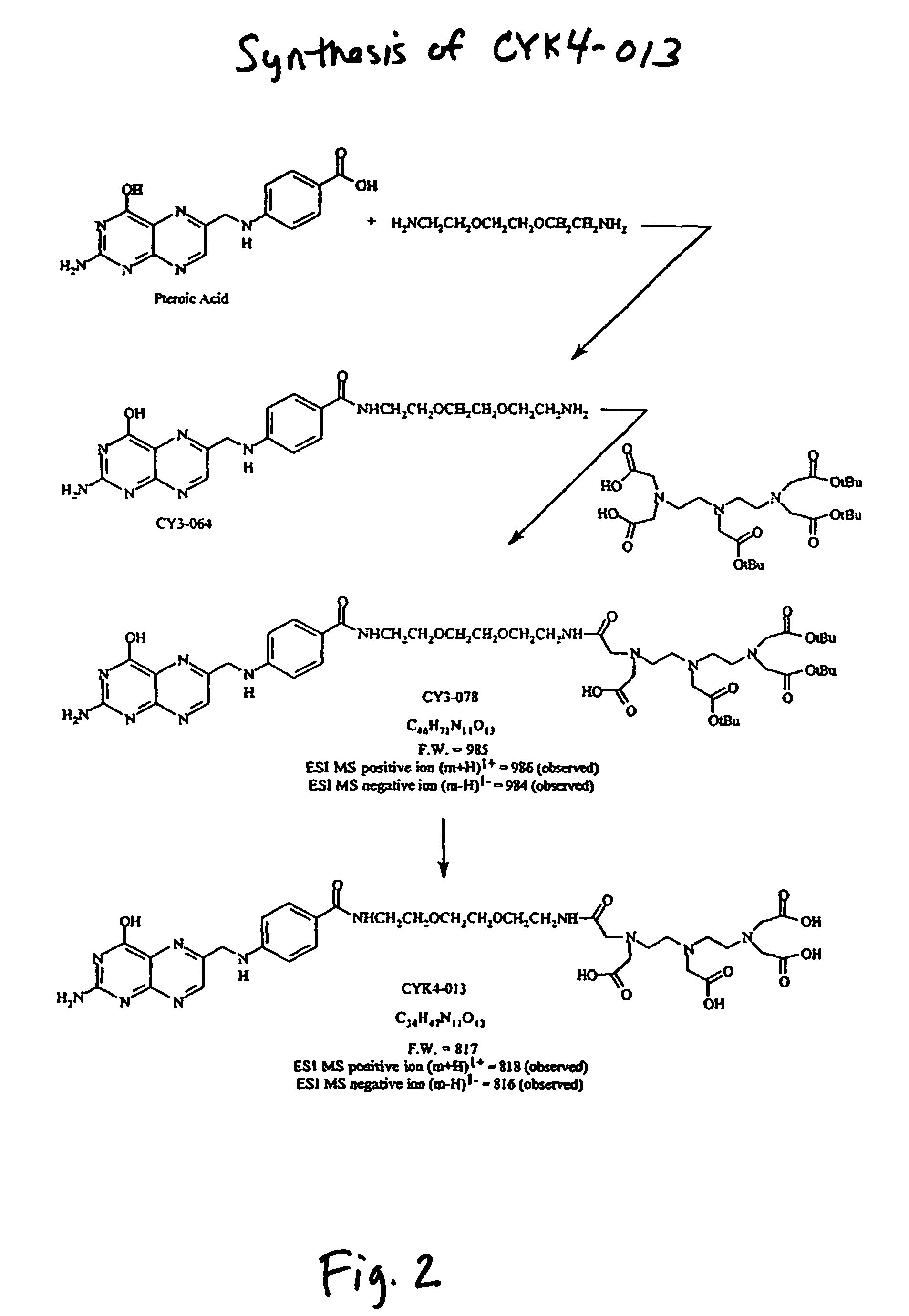 Folate mimetics and folate-receptor binding conjugates thereof