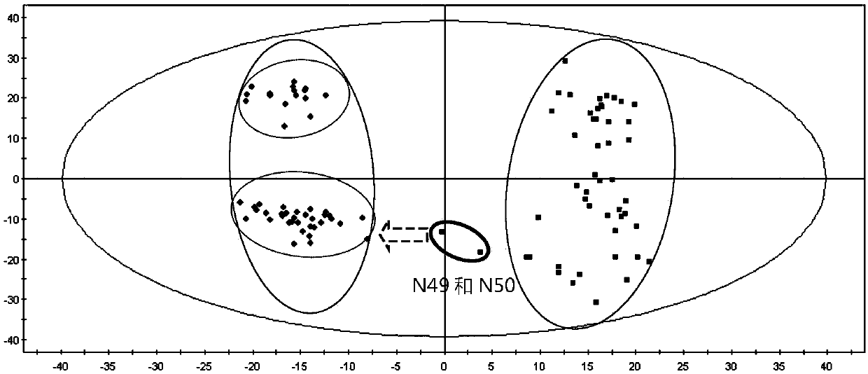 Diagnosis and/or typing marker of polycystic ovary syndrome and use of preparation reagent