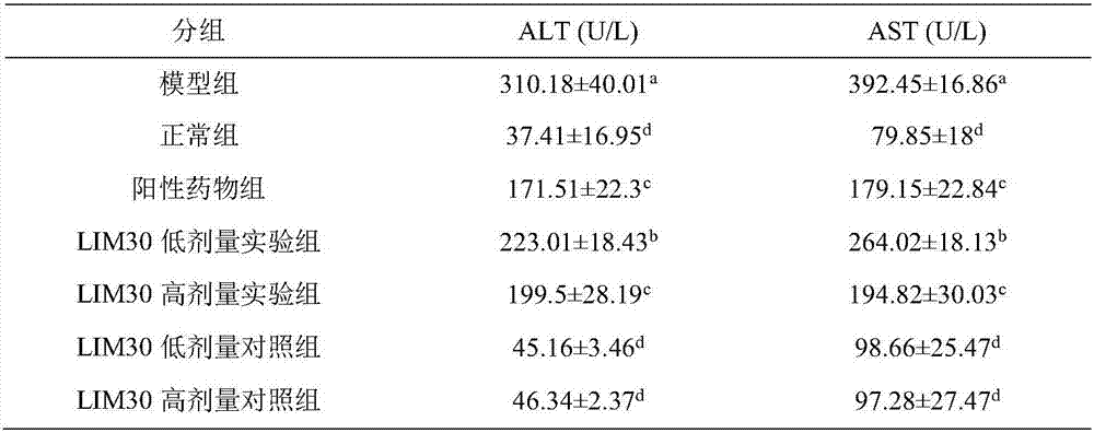 Use of lachnum intracellular melanin serving as acute liver injury medicine