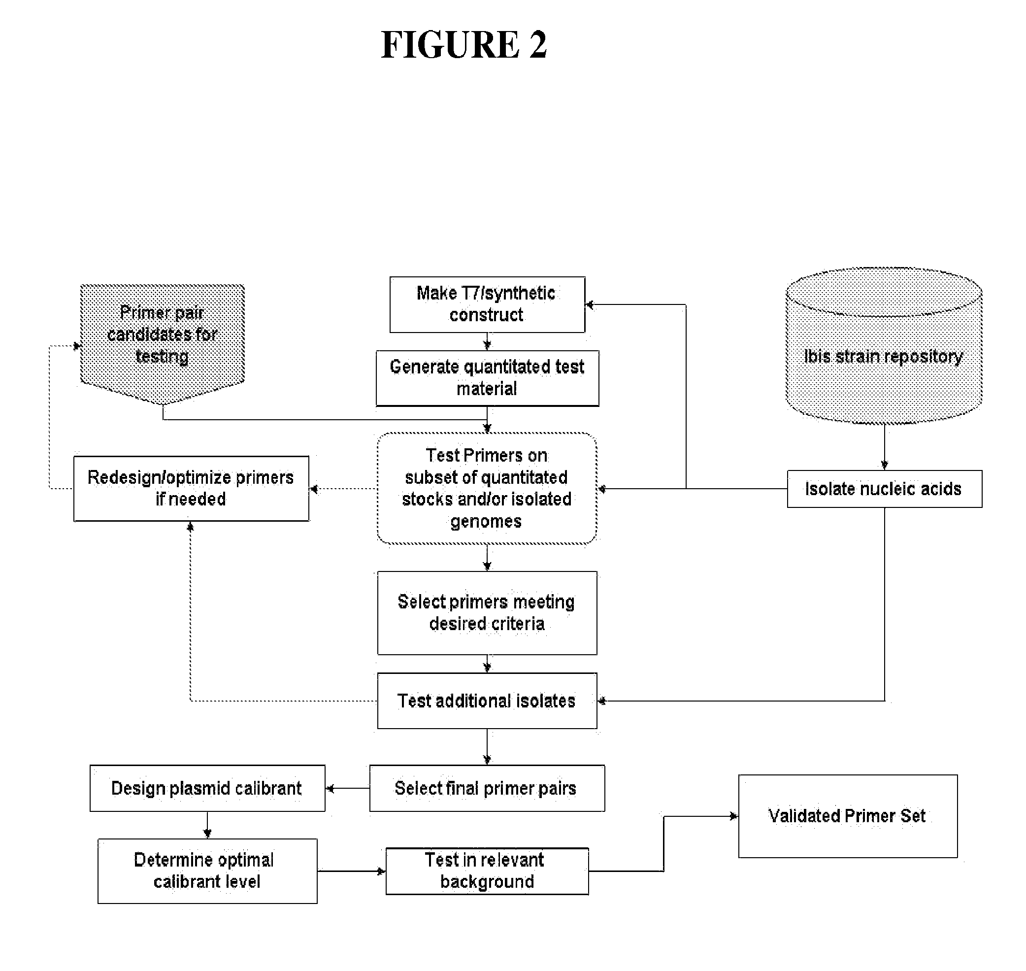 Compositions for use in identification of arenaviruses