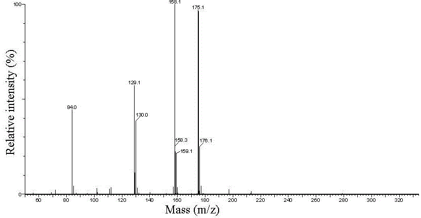 Method for preparing theanine by using biological method