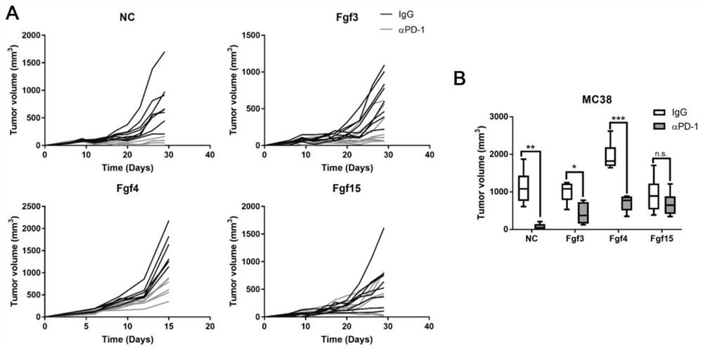 Application of pharmaceutical composition in preparation of therapeutic drug for tumor insensitive to PD-1 antibody immunotherapy