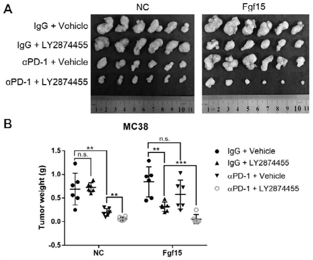 Application of pharmaceutical composition in preparation of therapeutic drug for tumor insensitive to PD-1 antibody immunotherapy