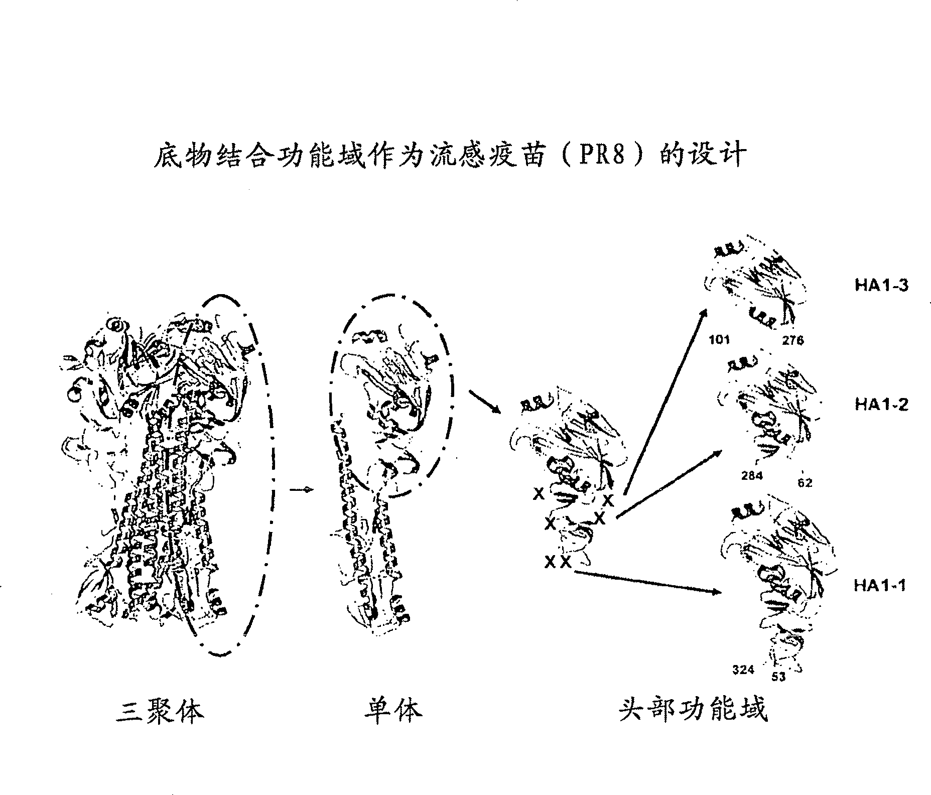 Compositions that include hemagglutinin, methods of making and methods of use thereof