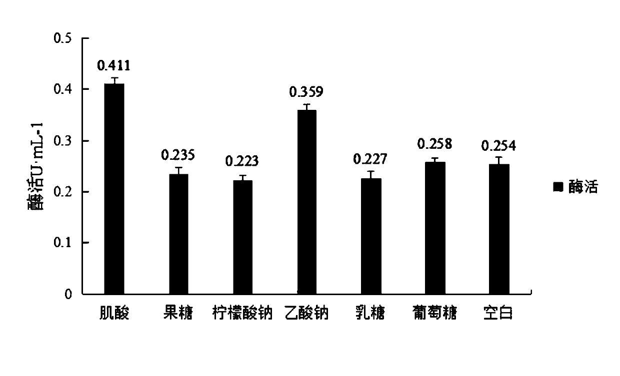 Fermentation enzyme production method for bacillus producing sarcosine oxidase