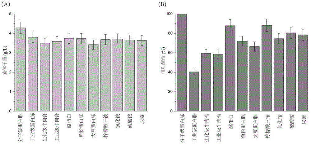 Method for efficiently producing transpeptidase sortase A by using recombinant escherichia coli