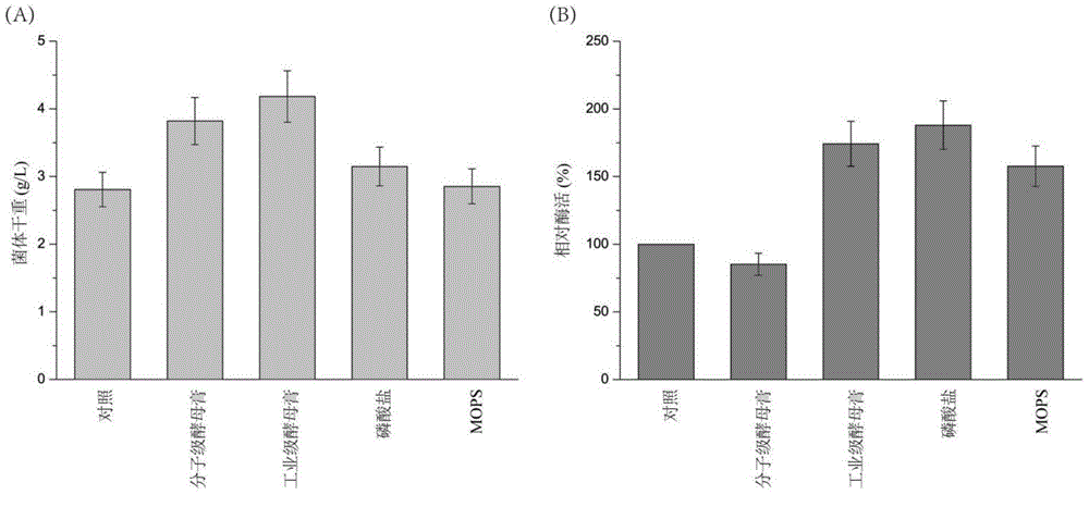 Method for efficiently producing transpeptidase sortase A by using recombinant escherichia coli