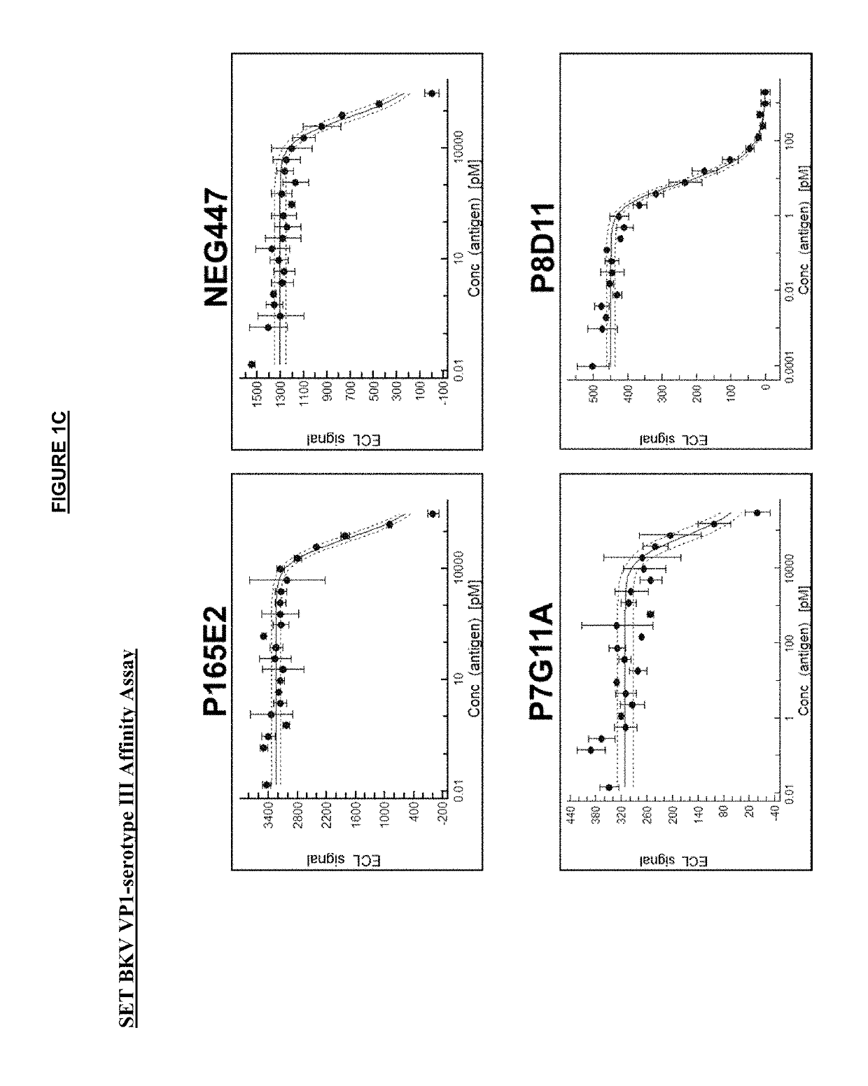 Polyomavirus neutralizing antibodies