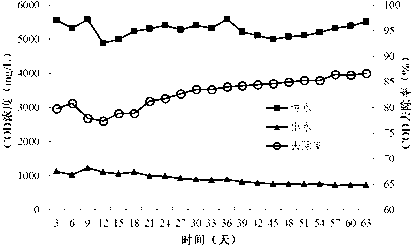 Percolate treatment method and device