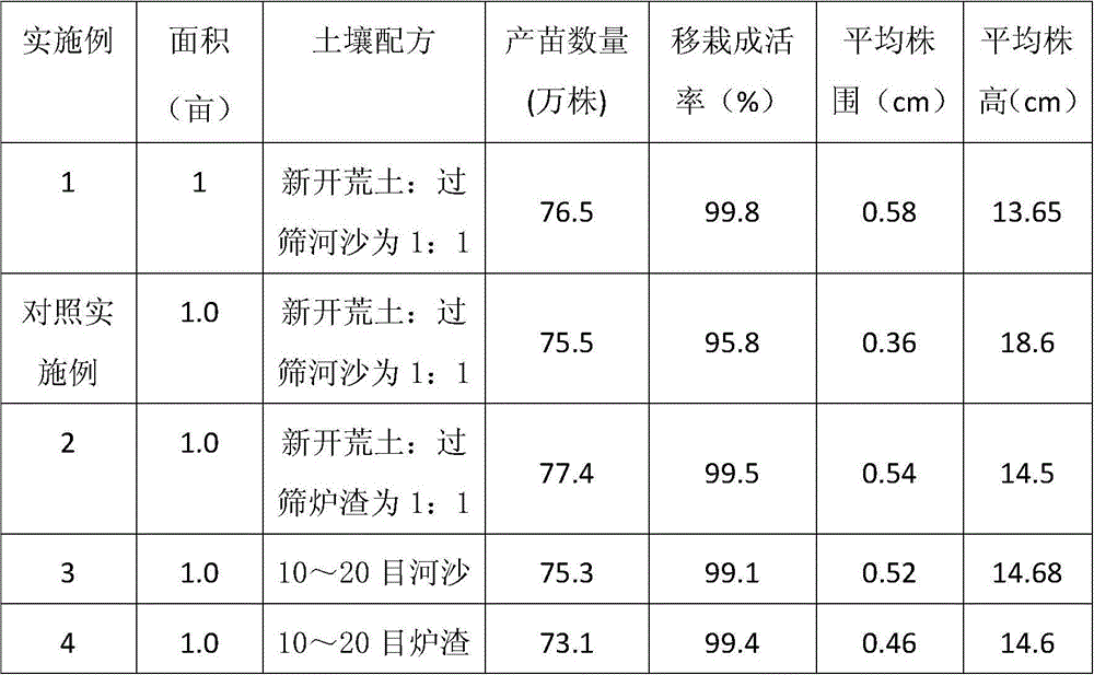 Large-scale Seedling Raising and Cultivation Method of Mabi Wood