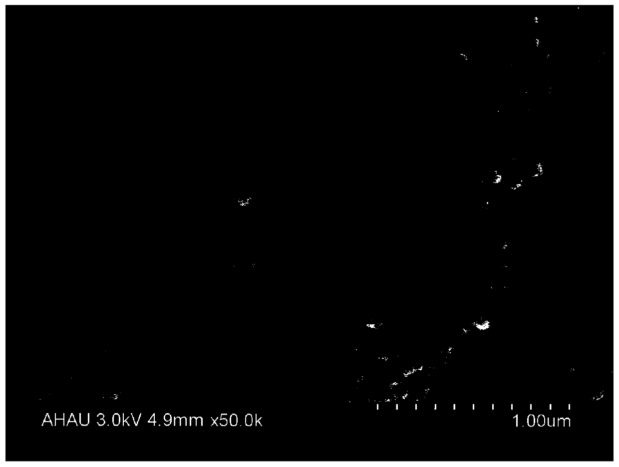 Mono-carboxyl chitosan/alkannin composite nanometer particles and preparation method thereof