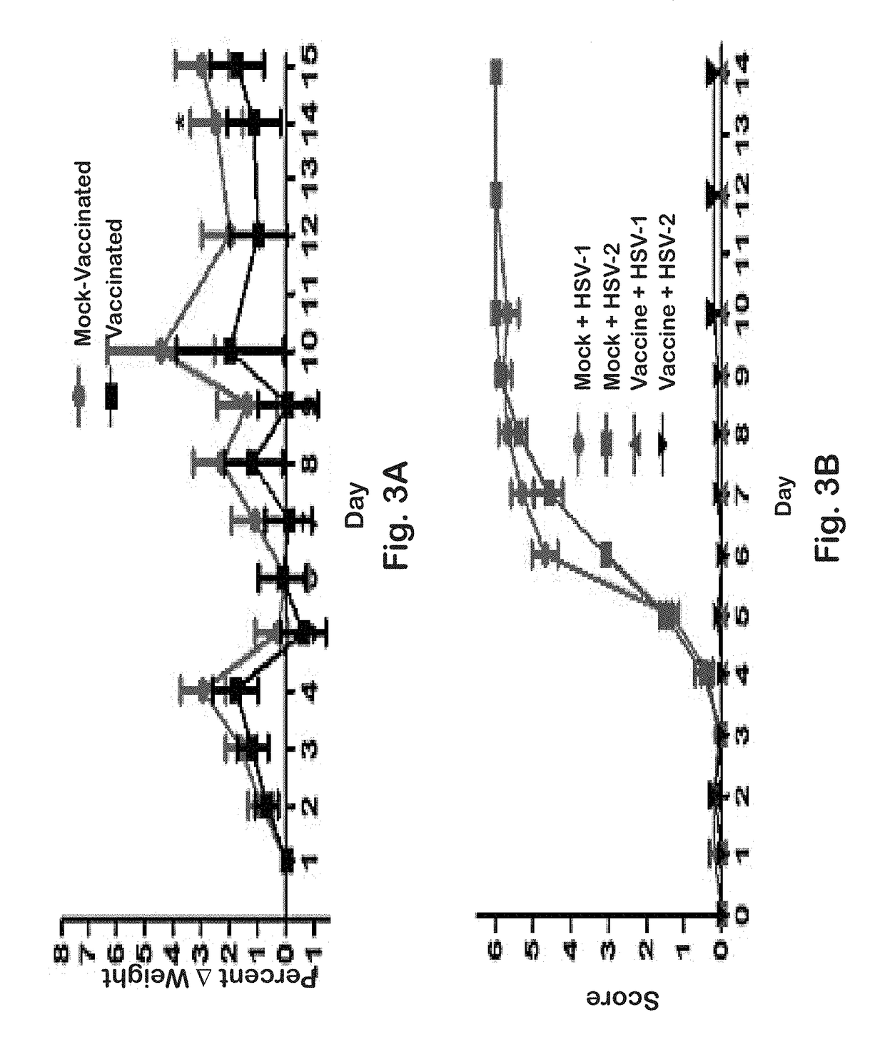 Vaccines against genital herpes simplex infections