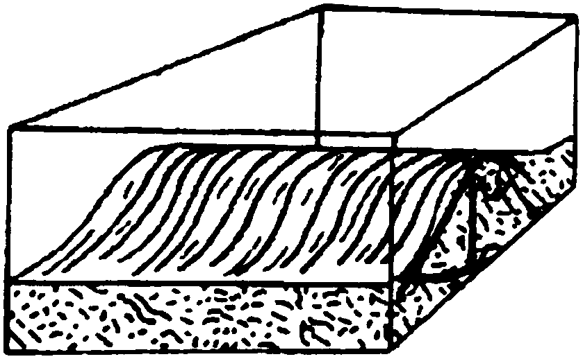 Thermal recovery method of heavy oil with gel foam inhibiting bottom water coning