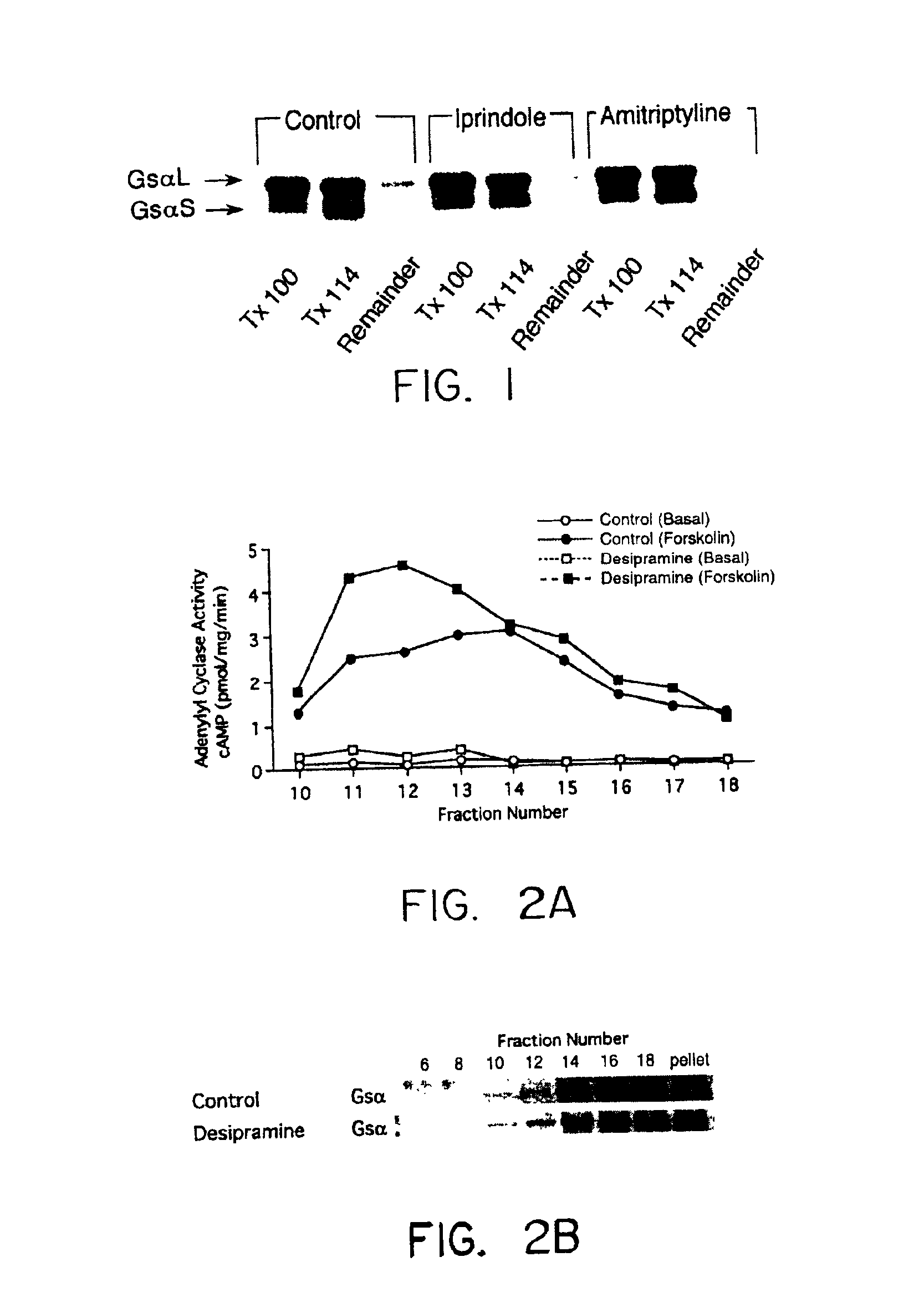 Marker for antidepressant therapy and methods related thereto