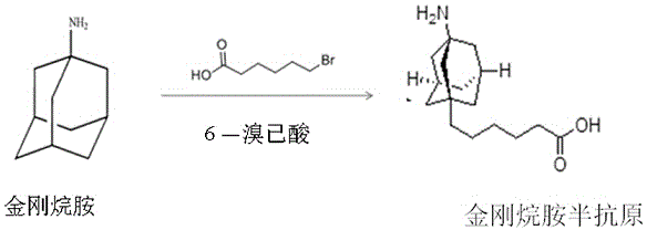 Preparation and application of highly specific amantadine artificial antigen