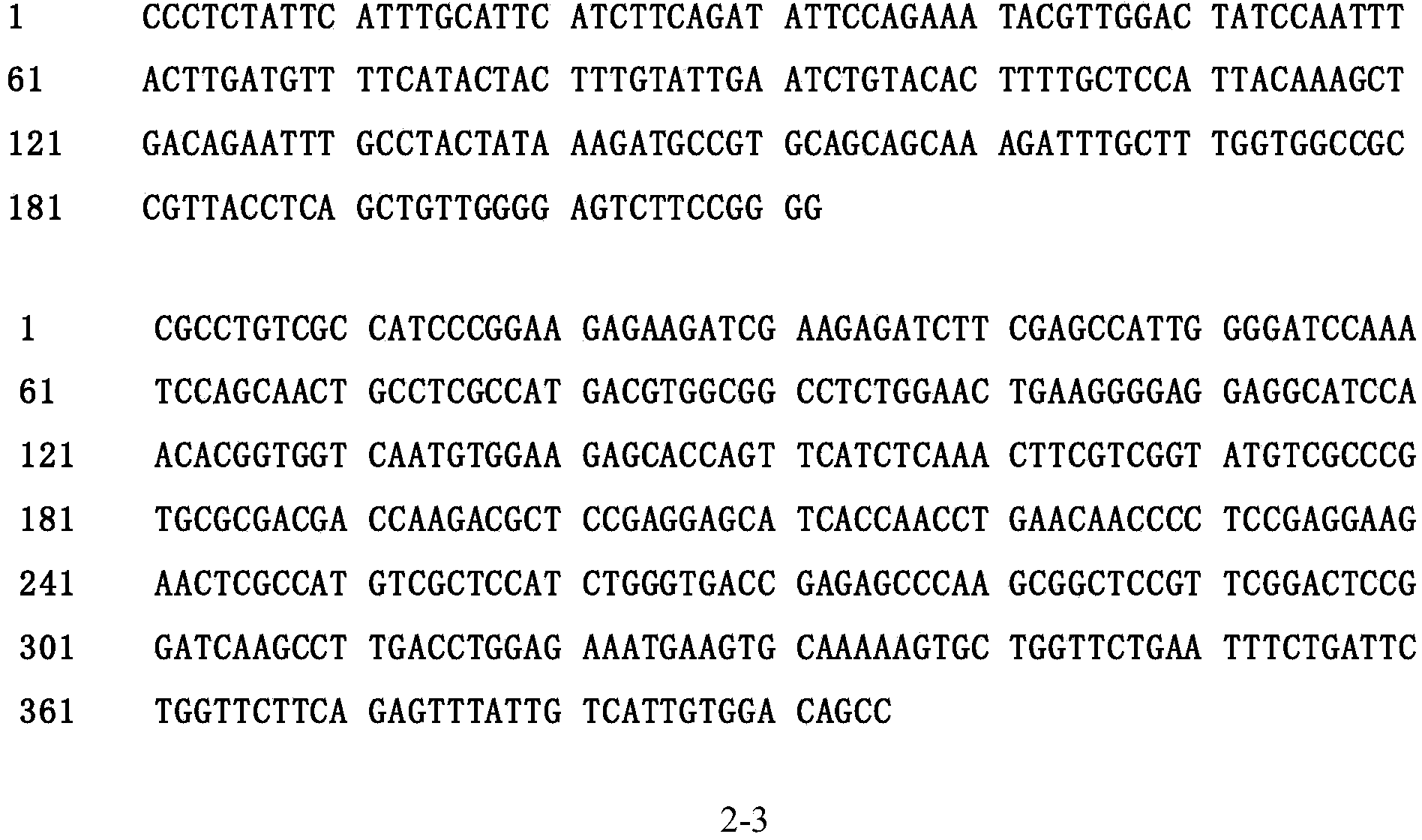 Molecular marker of paddy rice flag leaf width controlling gene NAL1 and application thereof