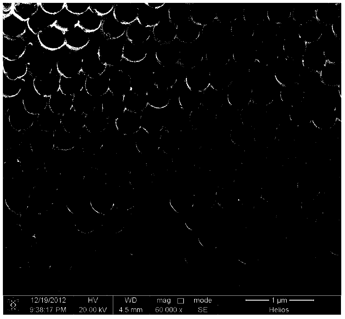 Method for preparing solar cell in inverse opal composite structure