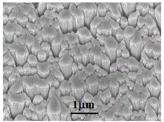 A method for the controllable preparation of multi-level bi-sb-te tilted column arrays by evaporative coating