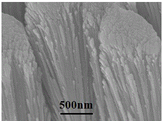 A method for the controllable preparation of multi-level bi-sb-te tilted column arrays by evaporative coating