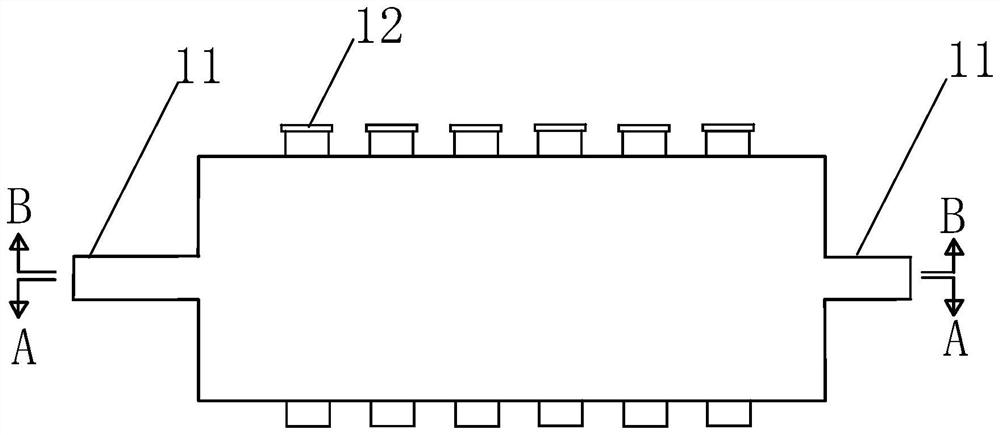 Ecological specimen making system for green sea anemone and method thereof