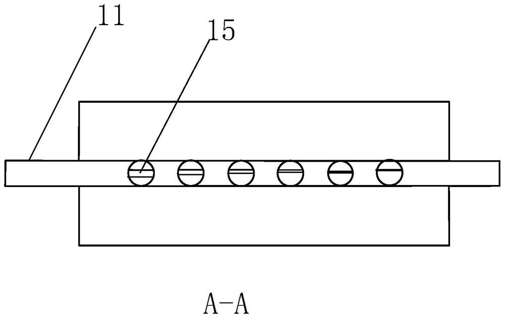 Ecological specimen making system for green sea anemone and method thereof