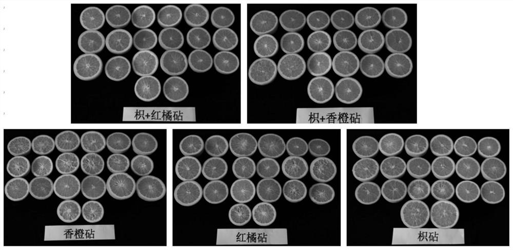 Method for relieving low water of overwintering navel oranges