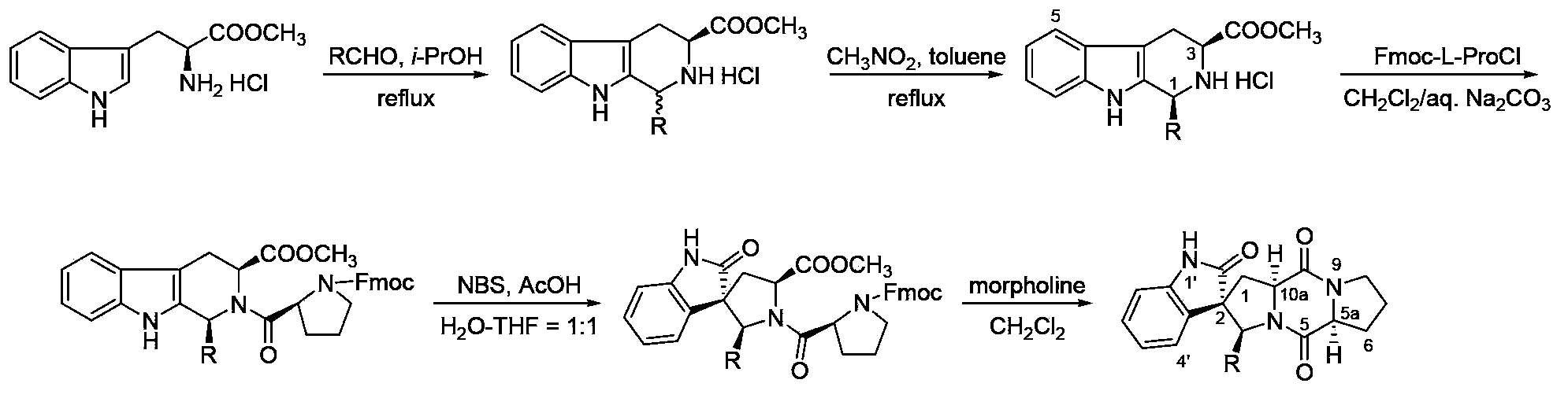 Spiro indole diketopiperazine alkaloid, and synthesis method and application of spiro indole diketopiperazine alkaloid