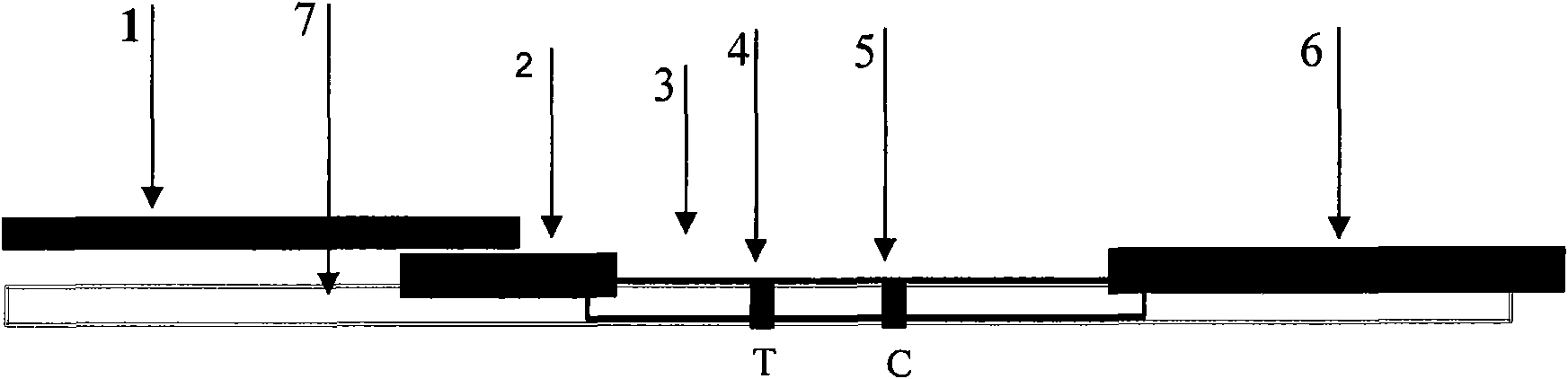 Test strip for detecting anti-cyclic citrullinated peptide antibody in blood and preparation method