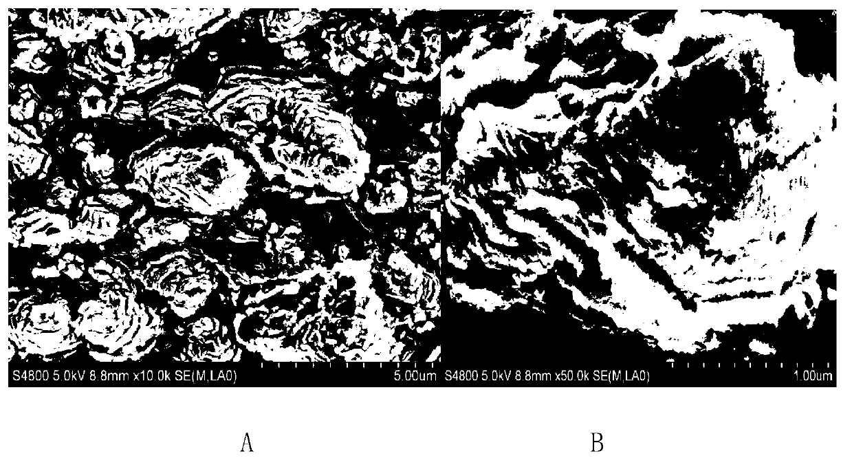 Preparation method of graphene/TiO2 flower-like nano-clusters