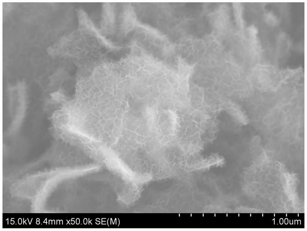 A kind of negative electrode material of lithium ion battery and its preparation method and application