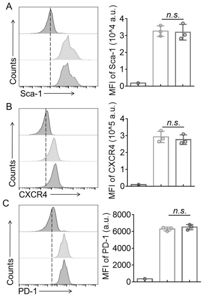 Genetically engineered hematopoietic stem cell drug delivery system as well as preparation method and application thereof