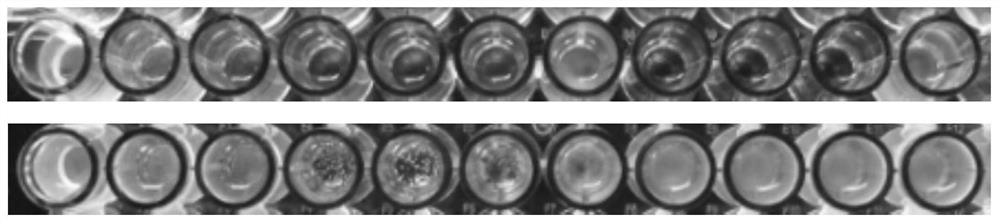 A kind of collagen-lysozyme antibacterial film and preparation method thereof