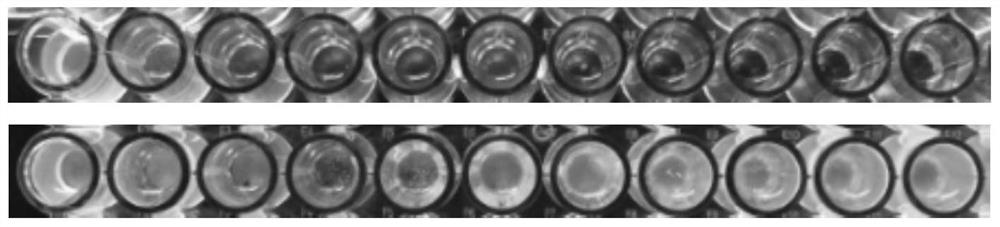 A kind of collagen-lysozyme antibacterial film and preparation method thereof