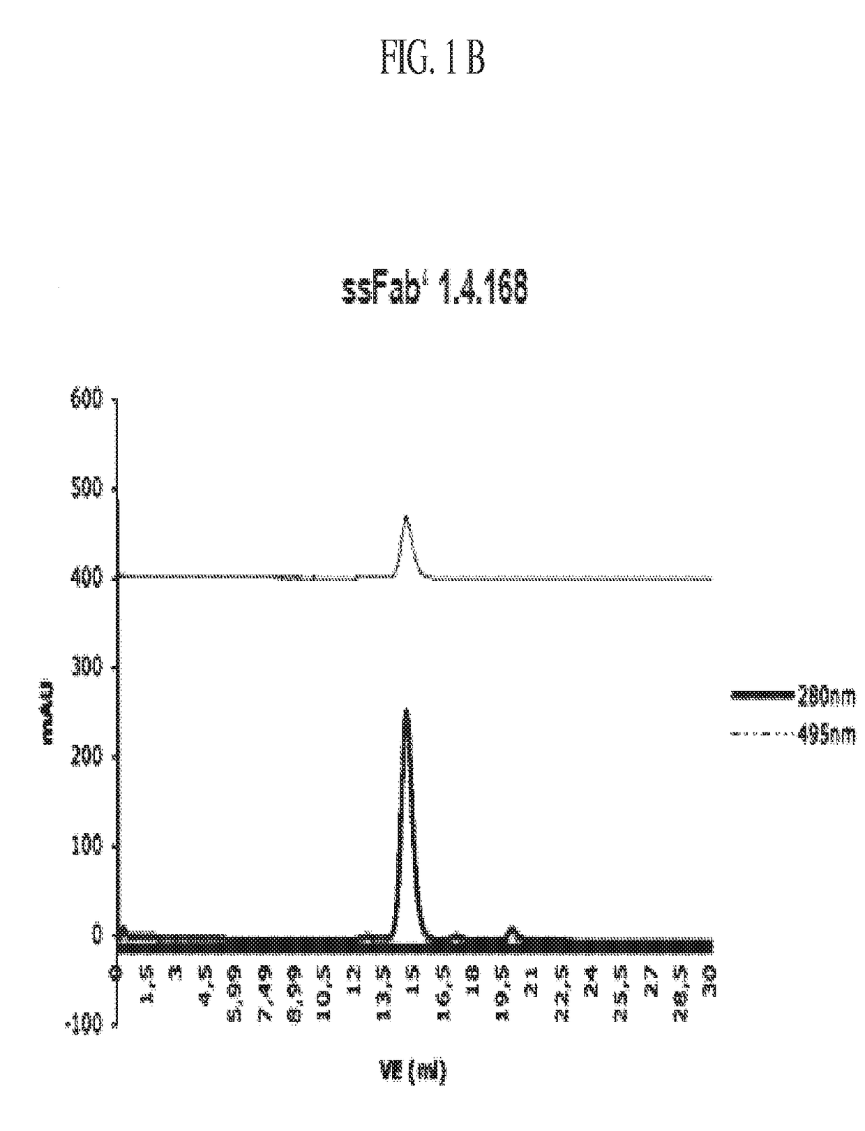 Detection of a polypeptide dimer by a bivalent binding agent