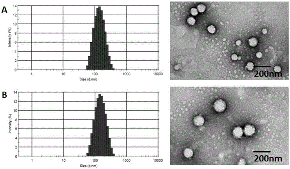 Drug delivery system for targeting co-delivery of photosensitizer and chemotherapeutic drug