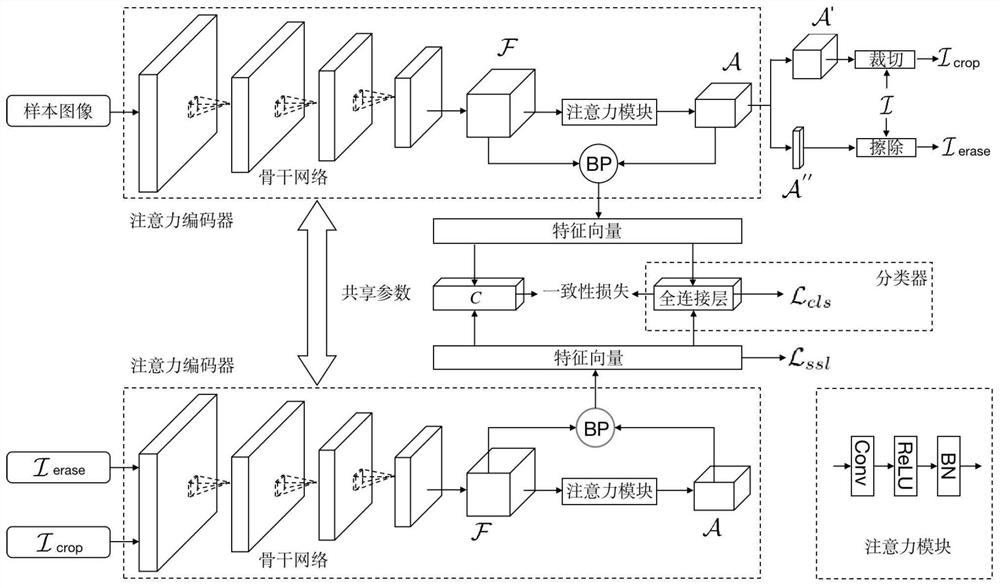 Self-supervised learning fine-grained image classification method based on twin network