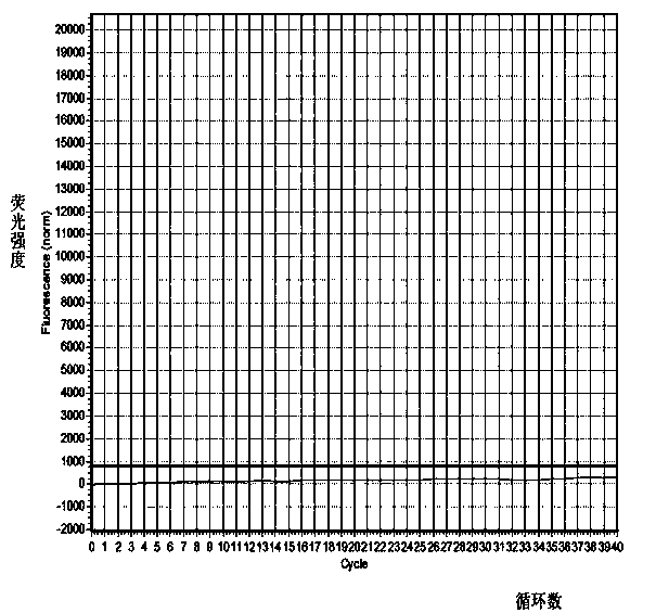 Primer and probe for detecting racoon dog components in foods and feeds