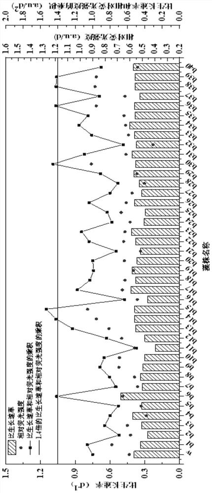 Mutagenesis and screening method for improving yield of microalgae oil