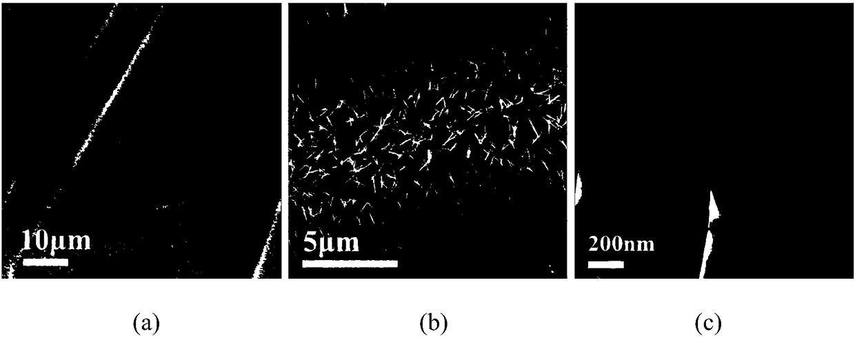 MoS2/NiCo2S4/CFP three-dimensional graded structure and preparation method thereof