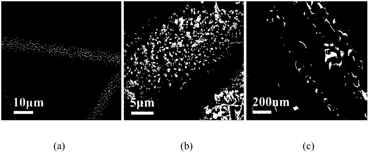 MoS2/NiCo2S4/CFP three-dimensional graded structure and preparation method thereof