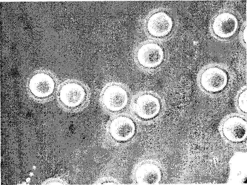 Establishing method for parthenogenetic activation of source embryonic stem cell