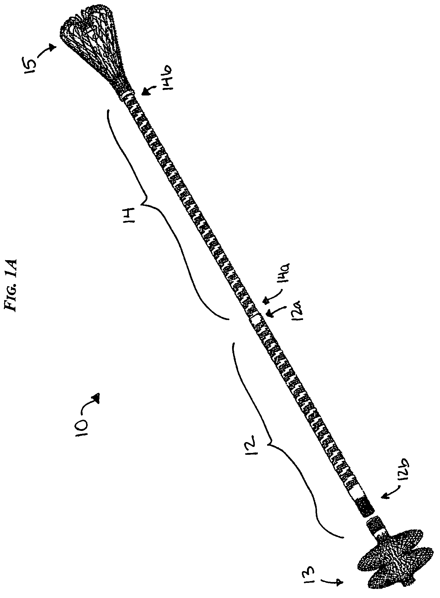 Blood perfusion graft