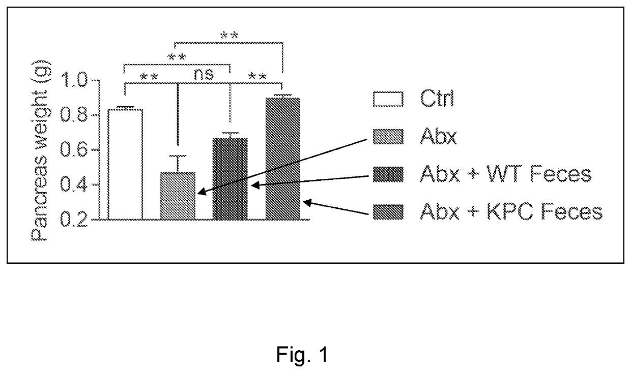 Probiotic compositions and methods of use