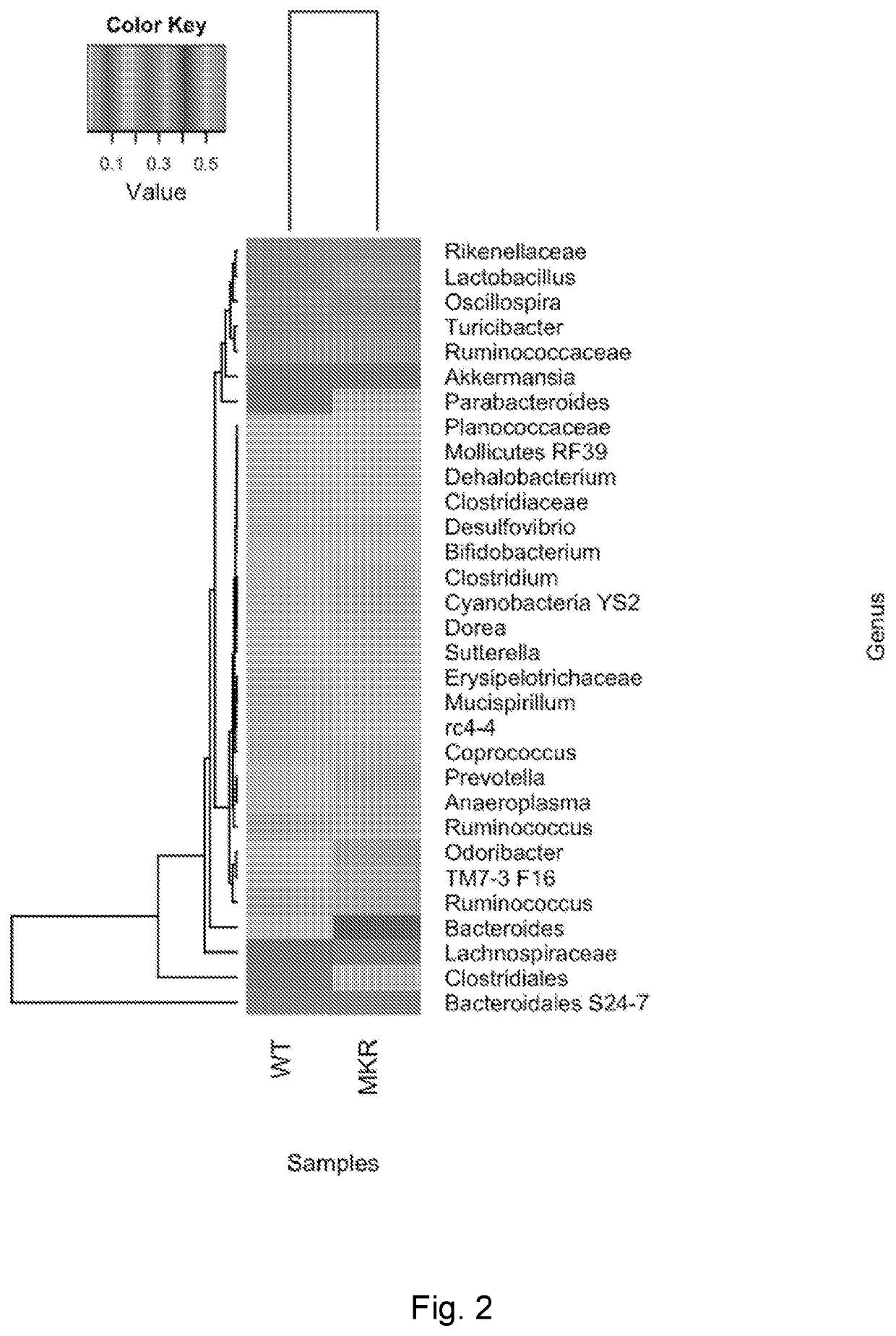 Probiotic compositions and methods of use